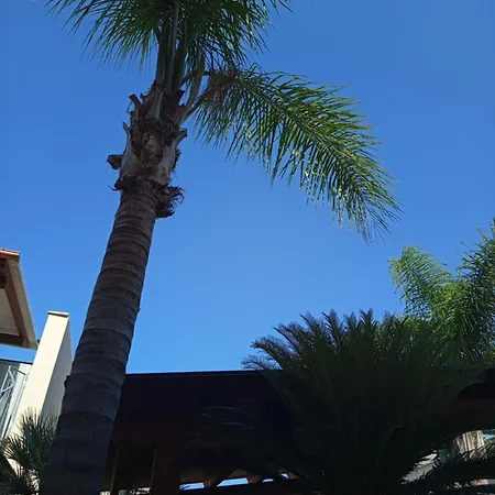 Amaryllis Hotel 2*