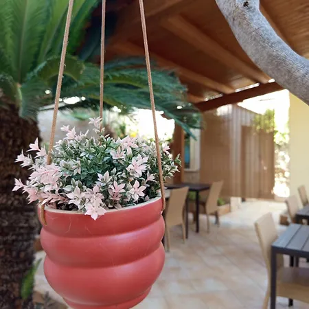 Amaryllis San Vito Lo Capo