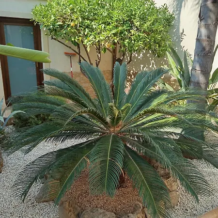 Amaryllis Hotel 2*