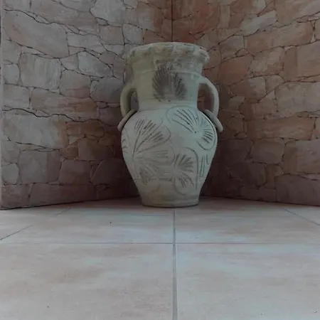 Amaryllis