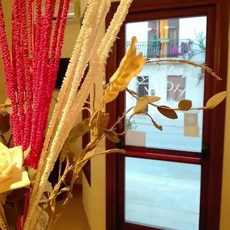 Amaryllis Hotel